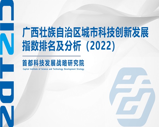 猛日骚穴【成果发布】广西壮族自治区城市科技创新发展指数排名及分析（2022）